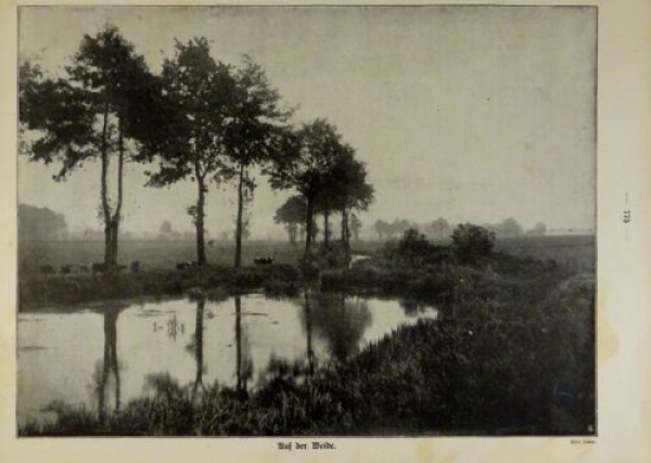 1917 - alter Druck - Auf der Weide